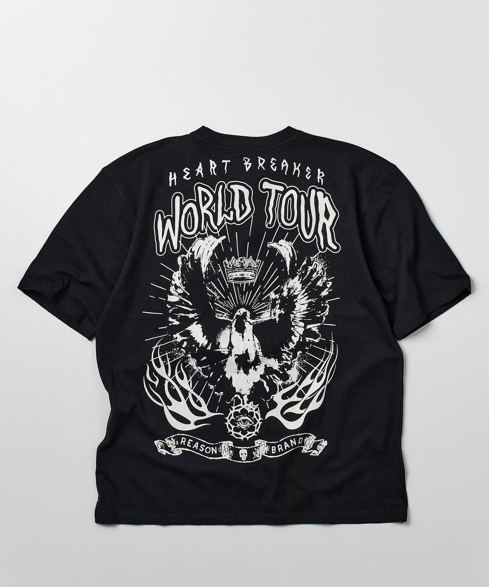 World tour